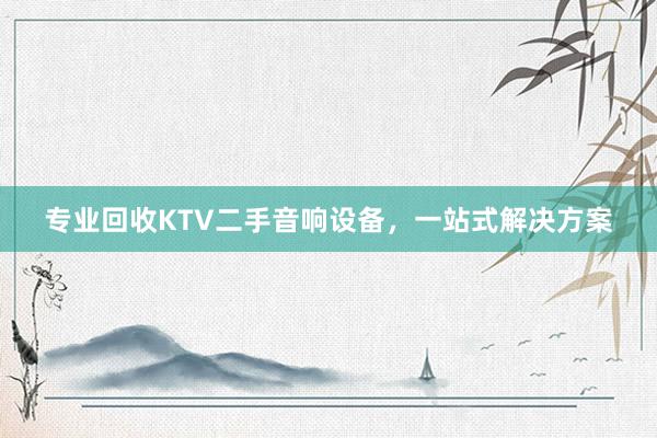 专业回收KTV二手音响设备，一站式解决方案